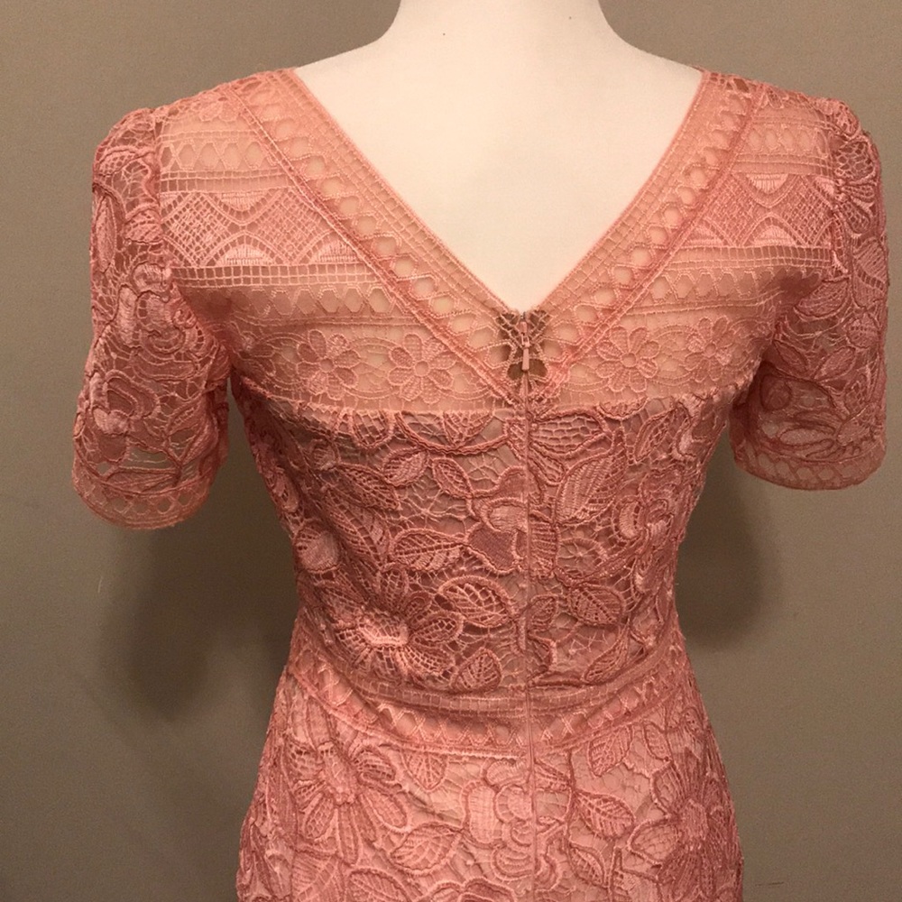 Tadashi Shoji Katelyn Lace Dress - Picture 7 of 7